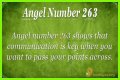 263 Angel Number Meaning - Pulptastic