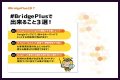 BridgePlus Manual