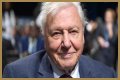 David Attenborough Net Worth, Age, Height, Bio, Birthday, Wiki!