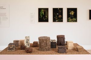 Viv Lee and Jonathan Wade Earth Becoming 2025-26 Fired and un-fired, self-gathered native clays from Marchmont Estate, Slighhouses Farm, Lanarkshire and Ayrshire, reclaimed stoneware & Fiona Young – Fragile 2025 Archival pigment print on Hahnemühle Bamboo paper Viv Lee and Jonathan Wade Earth Becoming 2025-26 Fired and un-fired, self-gathered native clays from Marchmont Estate, Slighhouses Farm, Lanarkshire and Ayrshire, reclaimed stoneware & Fiona Young – Fragile 2025 Archival pigment print on Hahnemühle Bamboo paper