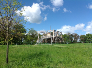 Sam Durrant Scaffold 2013